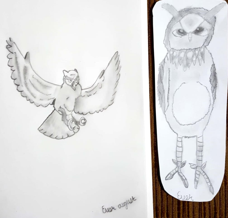 How to Draw an Owl — Online Art Lessons