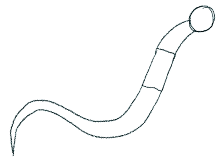 A sketched form of a dragon using a circle and a rectangle connected with a curved line.