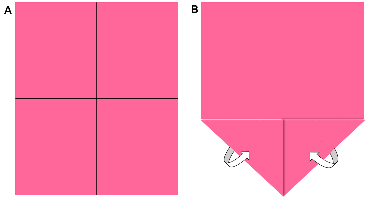 A picture showing a rectangular colored paper folded at bottom corners towards the middle.