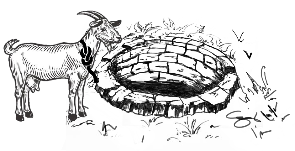 A goat tied beside a well