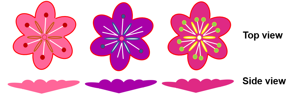 A picture of the three flowers on top of each other with cut-and-paste instruction.