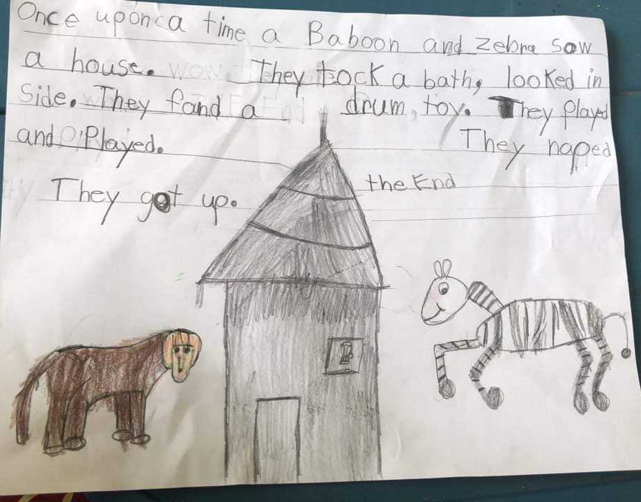 Zebra, baboon, and home drawing with backstory