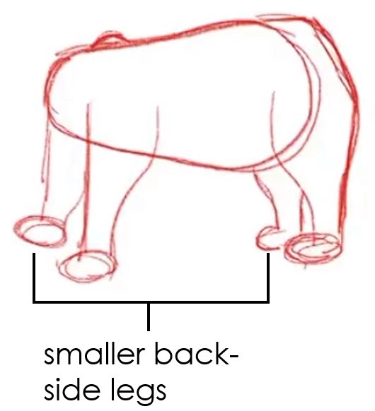 Smaller back-side legs drawn and labeled