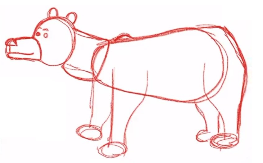 Body form and head of the bear drawn