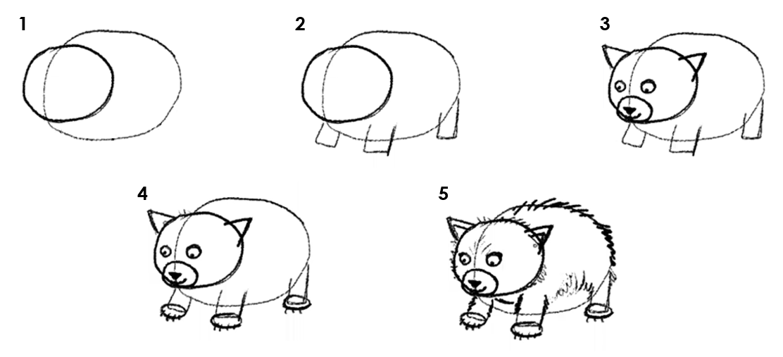 Numbered instruction on how to draw a cat