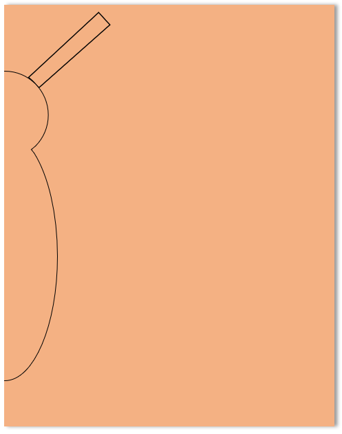 Orange rectangle with half of head and body outline of a butterfly