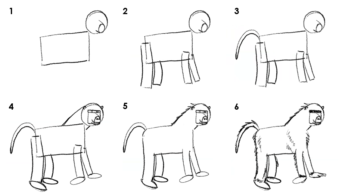Numbered picture instruction on how to draw a monkey
