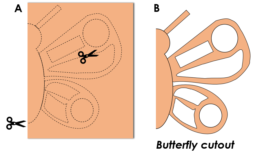 Graphical representation of cutting the butterfly outline with a pair of scissors