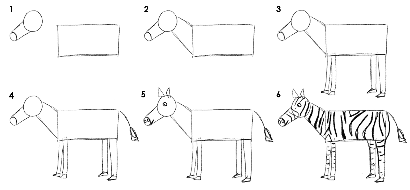 Numbered picture instruction on how to draw a zebra