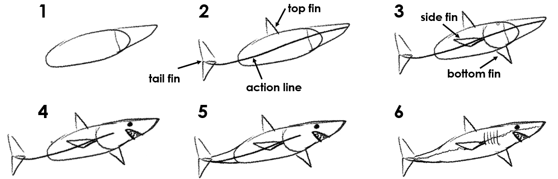 Numbered instruction on how to draw a shark