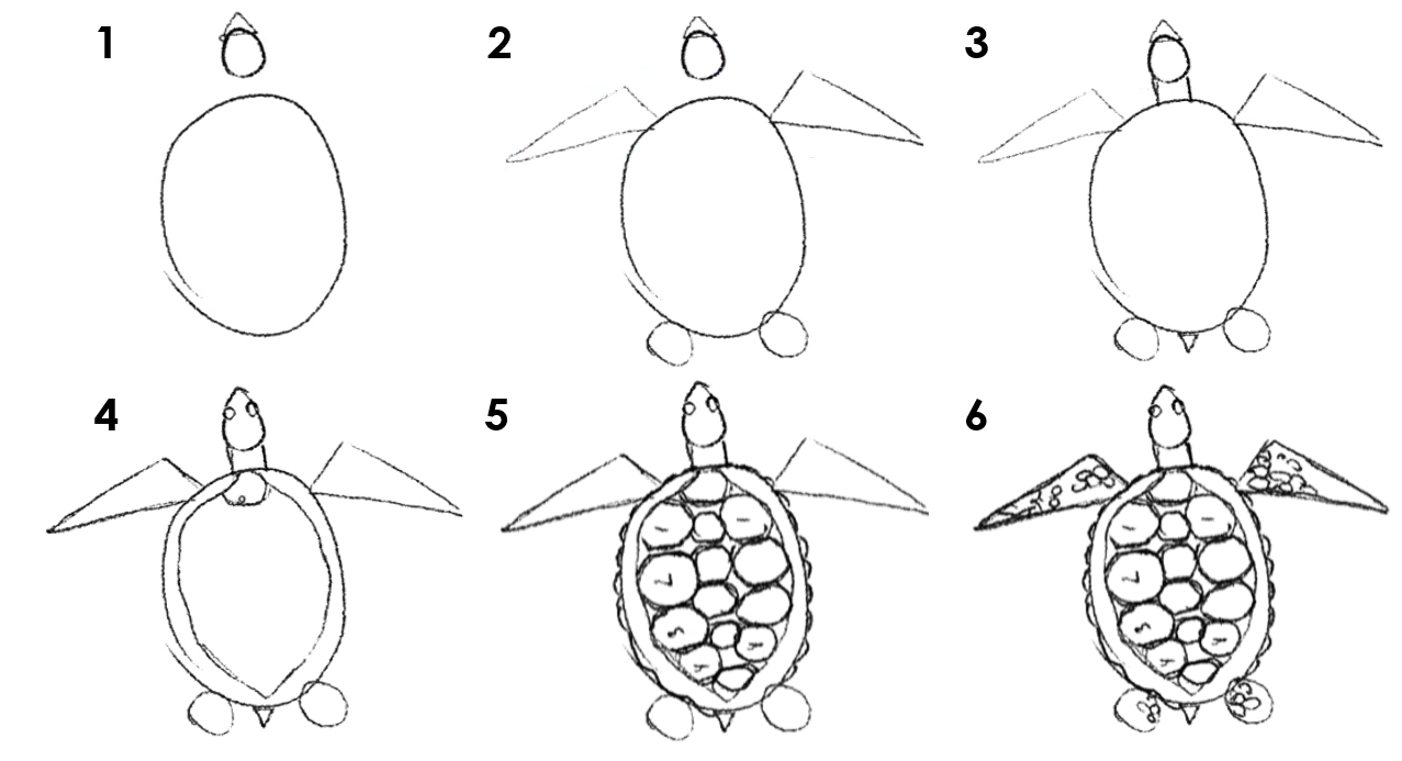 Numbered instruction on how to draw a sea turtle.