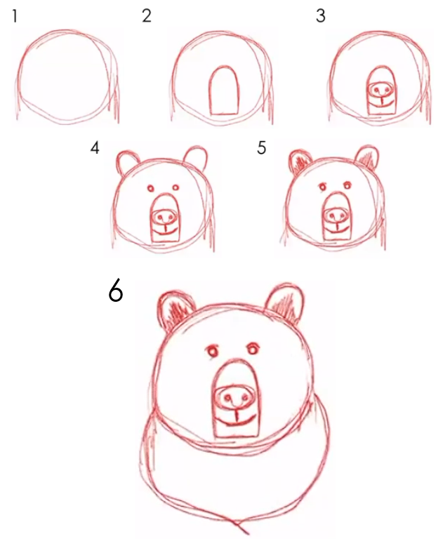 a 6-step guide on how to draw a bear's face