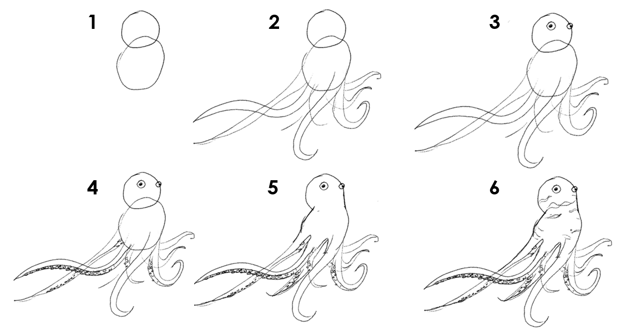 Numbered instruction on how to draw an octopus