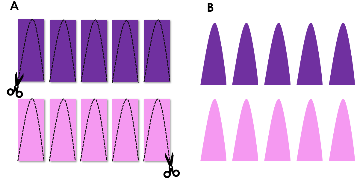 curved purple and pink rectangles outline and cutouts