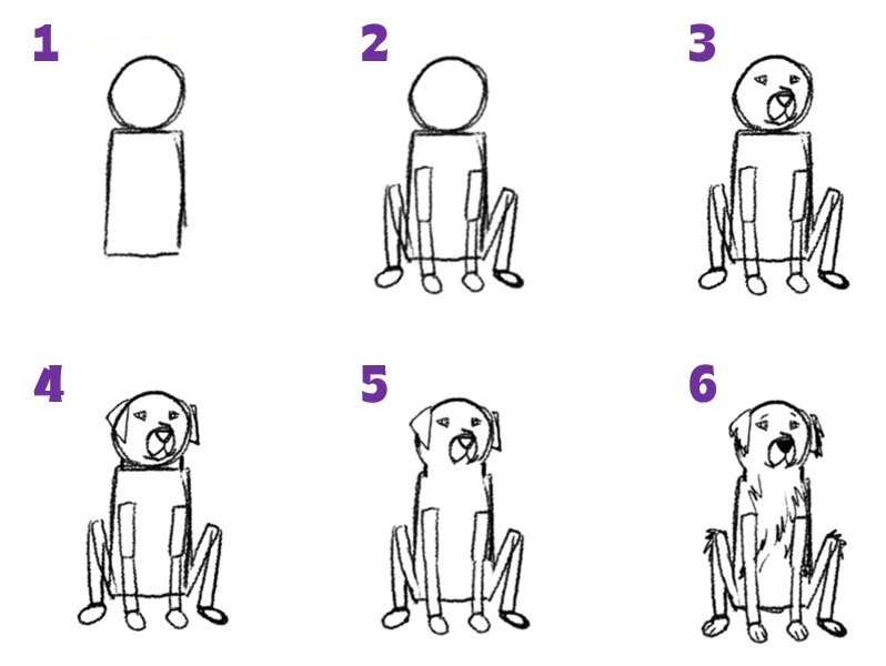 Numbered instructions on how to draw a dog