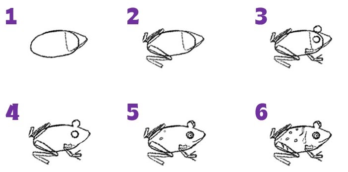 Numbered instructions on how to draw a frog