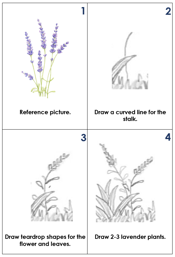 Numbered instructions on how to draw the flowers