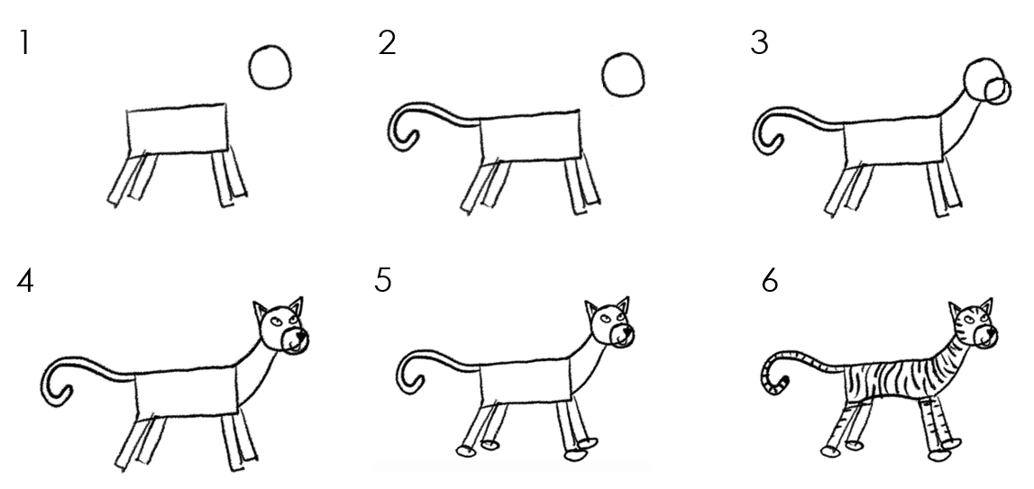 numbered instructions on how to draw a big cat or a tiger