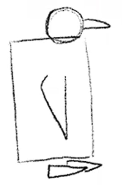 Outline of penguin's body with the flipper.