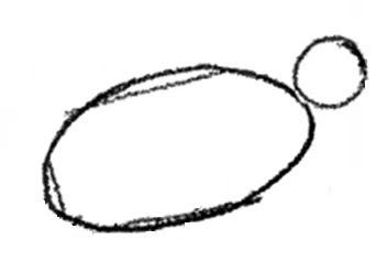 Penguin's head and body drawn using an oval and a circle.