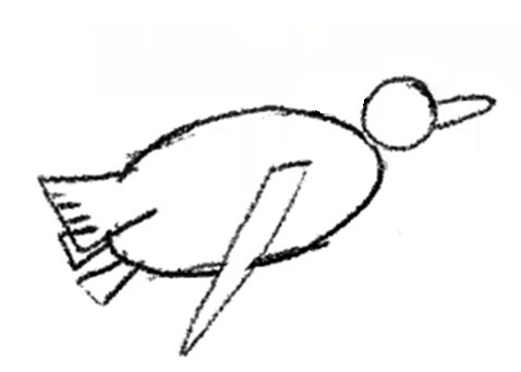 Drawing of a swimming penguin with the tail