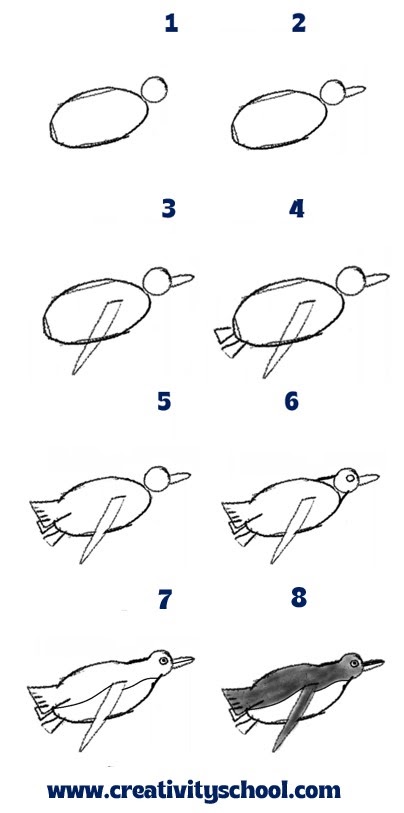 Numbered instruction on how to draw a swimming penguin