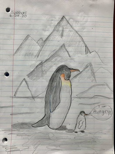 Colored drawing of an adult and baby penguin in the Arctic