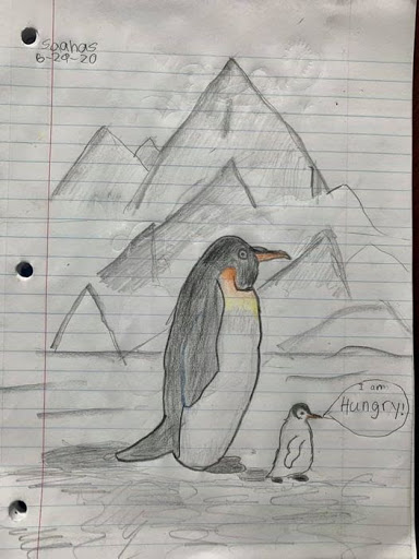 penguin pencil sketch