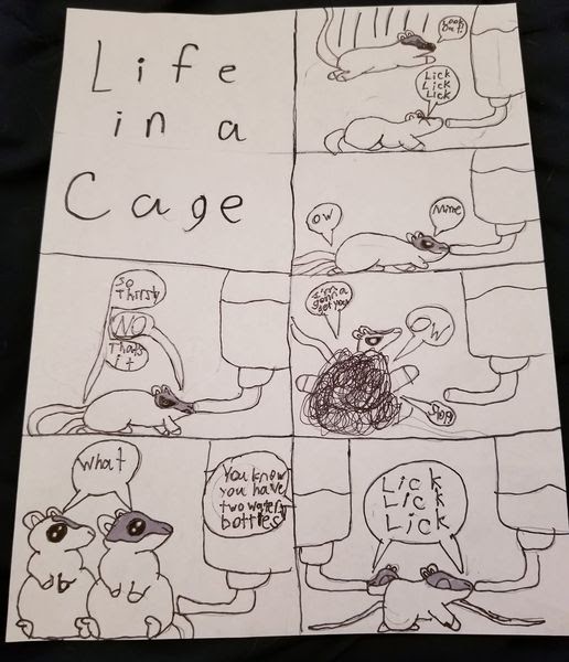 Hamster's life in a cage comics