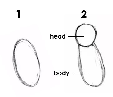 Numbered steps on how to draw the baseball pitcher's head and body