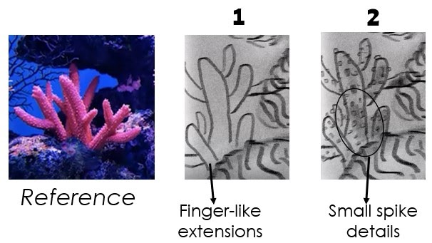 Numbered graphical instruction on how to draw the branching coral