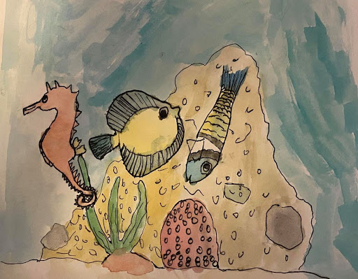 Drawing of marine creatures including fishes, sea horse, and a sand dollar